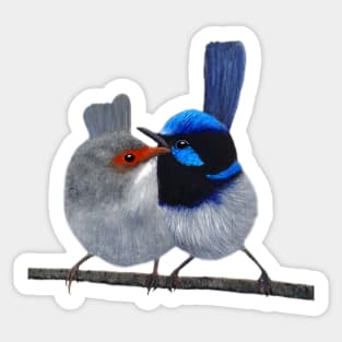 Fairy Wrens Sticker